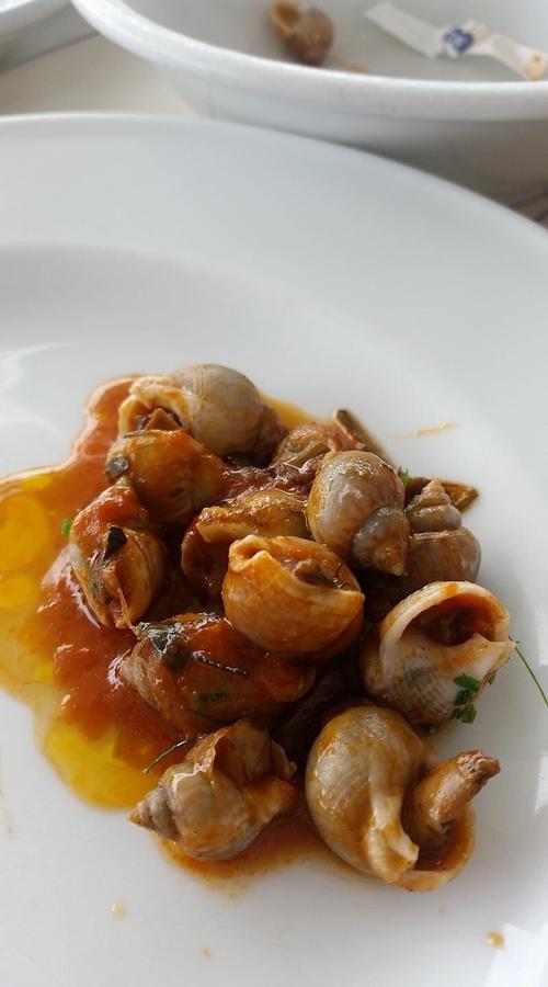 B&B El Gatt 马洛塔 外观 照片